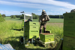 Lifting aid, The new electric lift really simplifies the work in the apiary