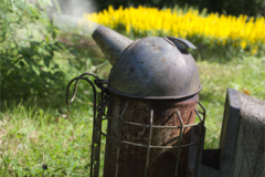 A puff of smoke makes the bees docile